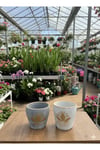 Lotus Çiçeği Desenli Dekoratif Beton Görünümlü Saksı - 2 Farklı Renk (Çiçeksizdir)