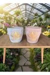 Lotus Desenli Dekoratif Çiçek ve Orkide Saksı - 2 Farklı Renk (çiçeksizdir)