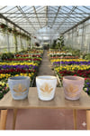 Lotus Desenli Dekoratif Çiçek ve Orkide Saksı - 3 Farklı Renk