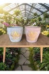 Lotus Desenli Dekoratif Çiçek ve Orkide Saksı - 2 Farklı Renk (çiçeksizdir)