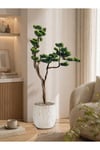 Lüks Yapay Bonsai Çam Ağacı - 170cm Özel Tasarım Kıvrımlı Gövde - Modern Zen Saksılı Dekoratif Ağaç