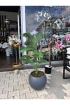 Lüx Uzay Plastik Saksıda Yapay Areka Ağacı