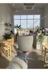 Masaüstü dekoratif beton saksı