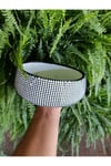 Monokrom Noktalı Modern Geniş Saksı 21*10 cm