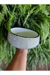 Monokrom Noktalı Modern Geniş Saksı 21*10 cm