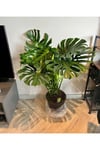 Monstera Dev Form Deve Tabanı 100 Cm