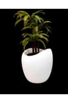 MyDecorZa BOHEM HOME FİBERGLAS BAHÇE ve EV DEKORASYONU SAKSI YUMURTA MODELİ 45 cm x 45 cm