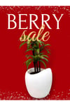 MyDecorZa BOHEM HOME FİBERGLAS BAHÇE ve EV DEKORASYONU SAKSI YUMURTA MODELİ 45 cm x 45 cm