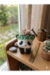 Panda Figürlü Dekoratif El Yapımı Sukulent Saksı - Çiçek Taçlı Sevimli Hediye (12cm)