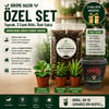 Premium Dikime Hazır Bitki Seti | Toprak, 3 Canlı Bitki ve Dekoratif Saksı 3