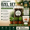 Premium Dikime Hazır Bitki Seti | Toprak, 3 Canlı Bitki ve Dekoratif Saksı 4