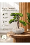 Premium Kalın Gövdeli Yapay Bonsai Ağacı - Modern Gri Saksıda
