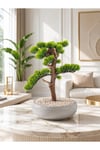 Premium Kalın Gövdeli Yapay Bonsai Ağacı - Modern Gri Saksıda