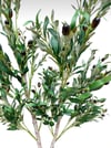 YAPAY ZEYTİN AĞACI 150 CM
