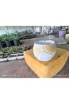 Yaprak desenli Beton orkide aranjman ve bonsai saksısı