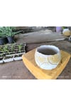 Yaprak desenli Beton orkide aranjman ve bonsai saksısı