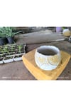 Yaprak desenli Beton orkide aranjman ve bonsai saksısı