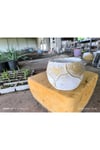 Yaprak desenli Beton orkide aranjman ve bonsai saksısı