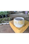 Yaprak desenli Beton orkide aranjman ve bonsai saksısı
