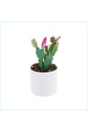 Yılbaşı Çiçeği Dekoratif Saksıda Schlumbergera 010101
