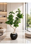 Zen Serisi Lüks Dekoratif Yapay Bonsai Ağacı - Siyah Mermer Desenli Küre Saksıda