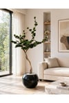 Zen Serisi Yapay Bonsai Ağacı - Estetik Ofis ve Ev Dekorasyon Bonsaisi 200 Cm