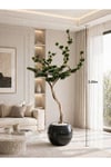 Zen Serisi Yapay Bonsai Ağacı - Estetik Ofis ve Ev Dekorasyon Bonsaisi 200 Cm