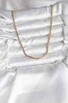 14K Gold Renk Kaplama Model CM Kadın Kolye