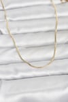 CM 14K Gold Renk İnce Kare Zincirli Model 60 cm Kadın Kolye