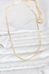 CM 14K Gold Renk Kare Zincirli Model 60 cm Kadın Kolye