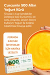 & Metabolizma Hızlandırmaya Yardımcı- Curcumin 500 Detox- 1 Kutu