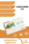 & Metabolizma Hızlandırmaya Yardımcı- Curcumin 500 Detox- 1 Kutu