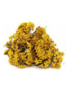 civan-percemi-81917-.png