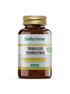 shiffa-home-tribulus-82bcc3.png