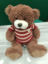 Kırmızı Kazaklı Teddy