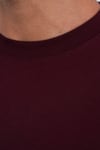 Bisiklet Yaka Bordo Regular Fit %100 Pamuklu Erkek Tişört 