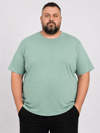 Çağla Erkek Büyük Beden Pamuklu Likralı Bisiklet Yaka T-Shirt