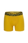 Erkek 6'lı Lüx Kutulu Pamuklu, Likralı ve Dijital Lastikli Boxer - G09002 - Çağla Yeşili - Mint - Fıstık Yeşili - Sarı - Kahverengi - Taş