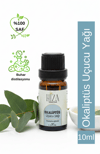%100 DOĞAL OKALİPTÜS UÇUCU YAĞI 10 ML