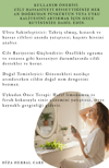 %100 SAF MELİSA HİDROSOLÜ 100 ML 100 ML