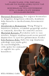 CHARM AROMATERAPİ UÇUCU YAĞ KARIŞIMI%100 DOĞAL 10 ML