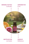 CHARM AROMATERAPİ UÇUCU YAĞ KARIŞIMI%100 DOĞAL 10 ML