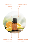 DİNAMİKA AROMATERAPİ UÇUCU YAĞ KARIŞIMI %100 DOĞAL 10 ML