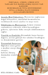 DİNAMİKA AROMATERAPİ UÇUCU YAĞ KARIŞIMI %100 DOĞAL 10 ML