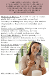SECURITY AROMATERAPİ UÇUCU YAĞ KARIŞIMI %100 DOĞAL 10 ML