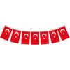 BAYRAK İPLİ MİNİ 38'Lİ