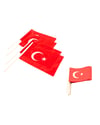 SİNO SOPALI KÜÇÜK BAYRAK 80'Lİ