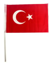 VATAN SOPALI BAYRAK BEZ 20X30 BAYRAK 10'LU