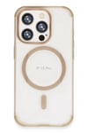 Apple iPhone 15 Pro Hilton Magsafe Kapak - Gold