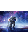 Astro Canvas Tablo (50x70)